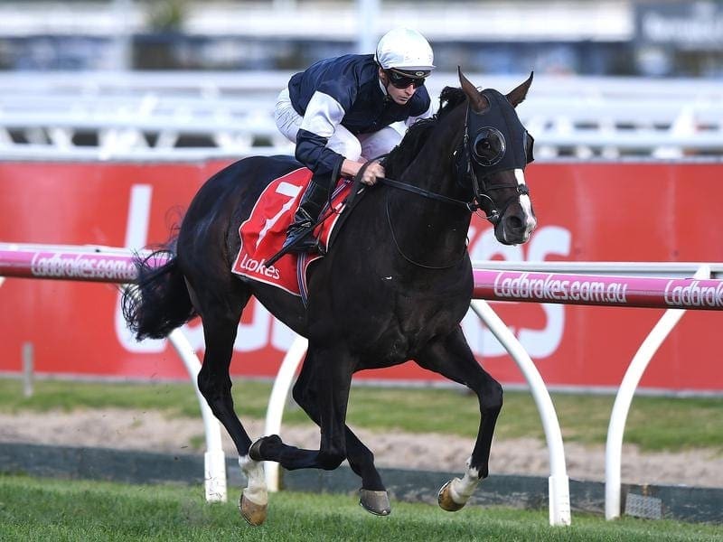 Melbourne Cup favourite Yucatan Ire has galloped strongly in preparation for the $7 million race. Yucatan Ire winning the Herbert Power Stakes.
