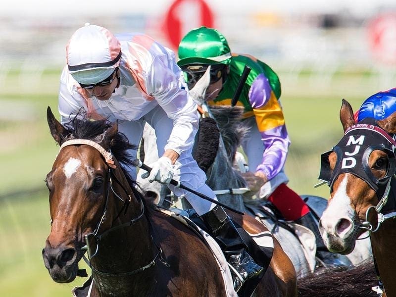 Fiery Heights has staked a claim for the Brisbane summer carnival with his win at Doomben. Fiery Heights wins at Doomben.