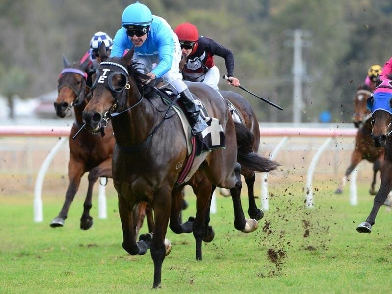 Capitulate will again wear blinkers at Doomben as he tries to atone for his last-start defeat. capitulate