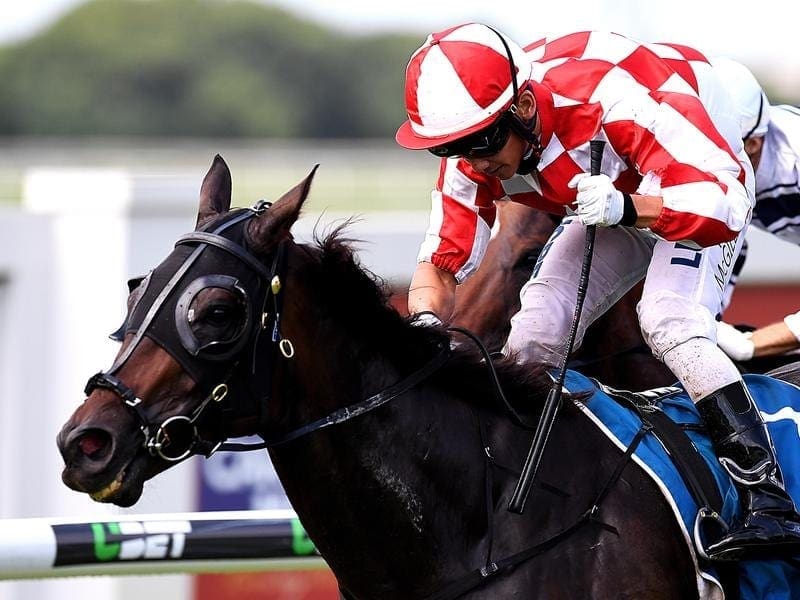 Veteran Glendara will be tested for the first time beyond 1800m when he runs at Doomben. glendara