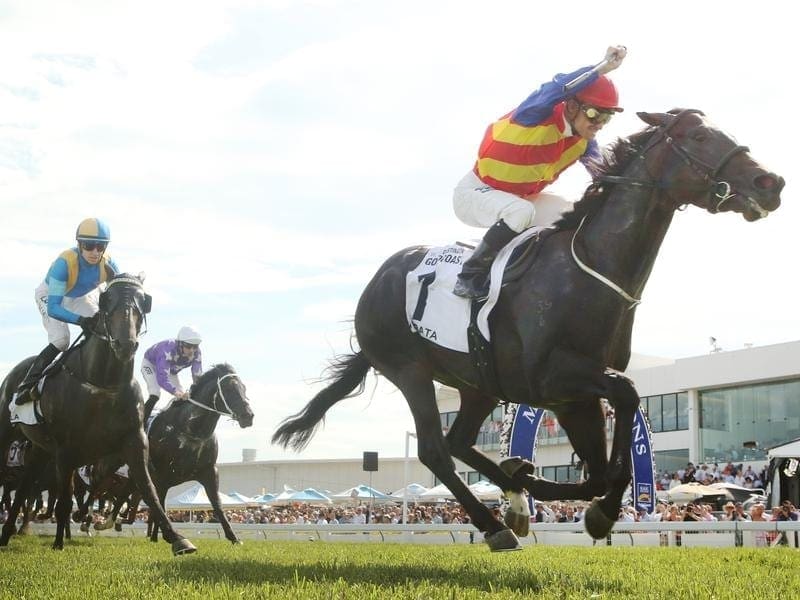 The Greg Hickman-trained Pierata is one of the favourites for the $1 million Epsom Handicap. Pierata.