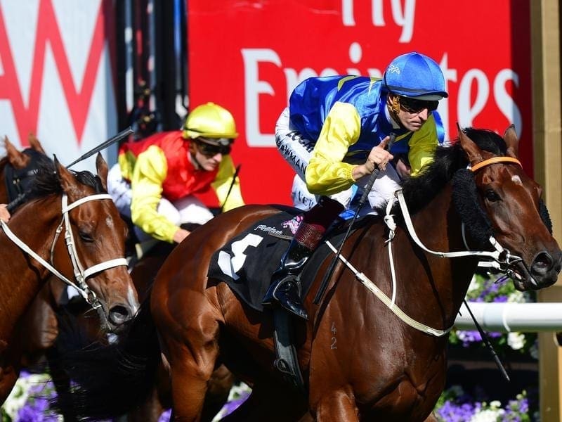 Le Romain will come right into calculations for The Everest if the sprint is run on a heavy track. Le Romain.