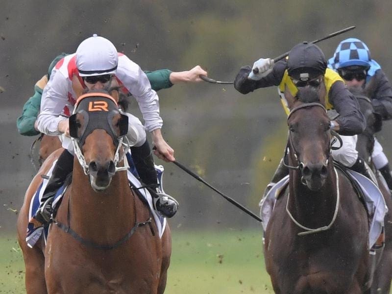 The Kris Lees-trained three-year-old Graff (l) has been confirmed as a runner in the $13m Everest. graff