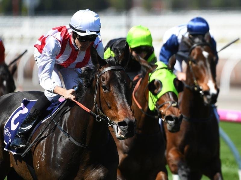 Our Libretto (left) has given trainer Grahame Begg an overdue Flemington winner. Our Libretto.
