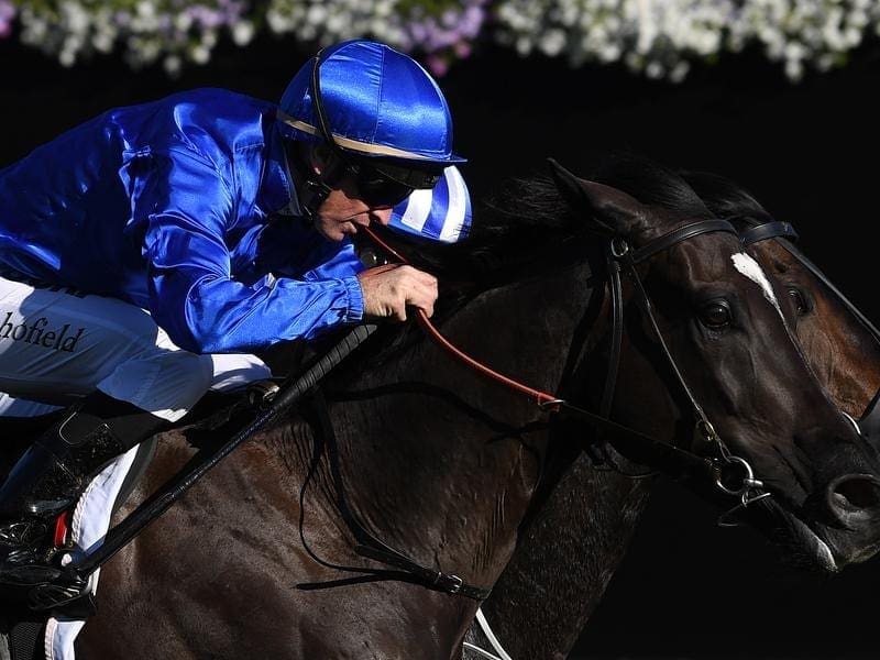 Melbourne Cup favourite Avilius (blue) is set to have his lead-up run in the Cox Plate. avilius