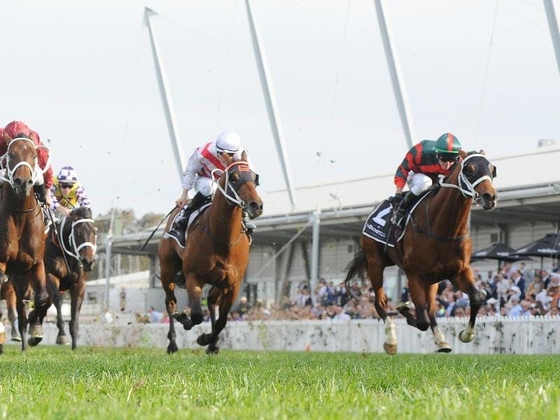 Golden Rose winner The Autumn Sun (r) has had a course proper gallop ahead of the Caulfield Guineas. the autumn sun