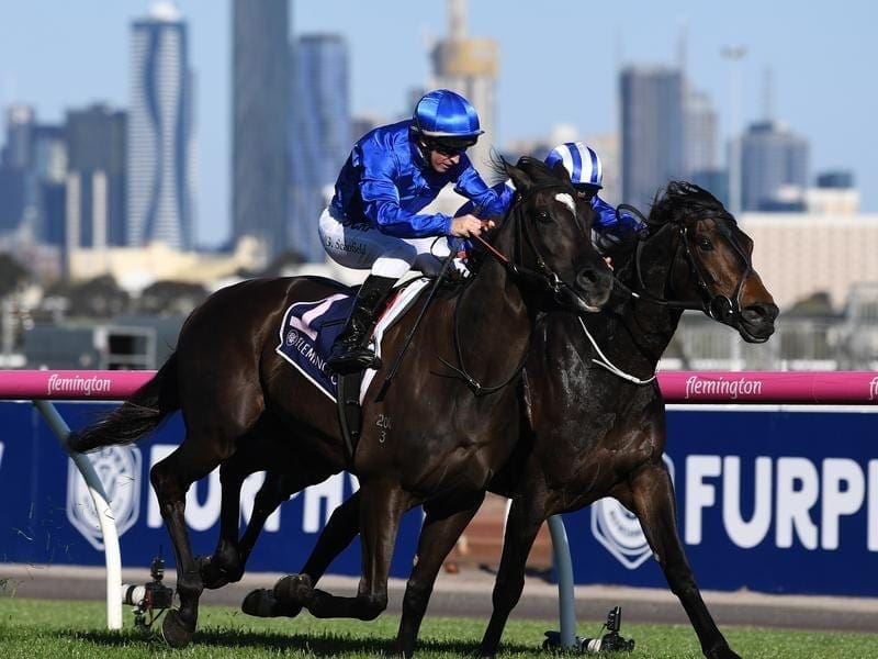 Avilius (all blue) has received a 1.5kg Melbourne Cup penalty for his win in the Bart Cummings. avilius