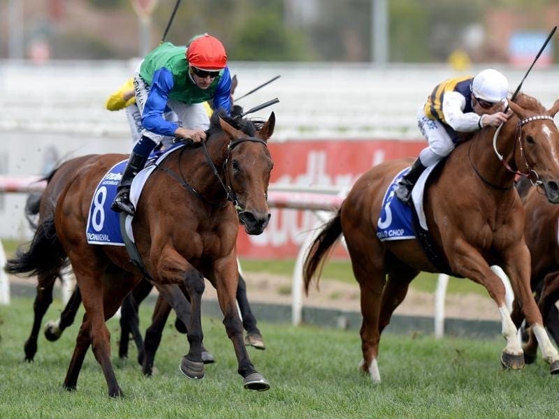 Triple Group One winner Bonneval (l) has been bought by New Zealand's famous Waikato Stud. bonneval