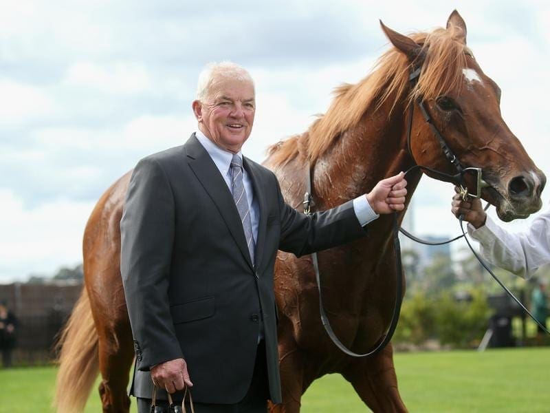Trainer Colin Little will test Vassilator in blinkers at trackwork ahead of the Caulfield Guineas. colin little