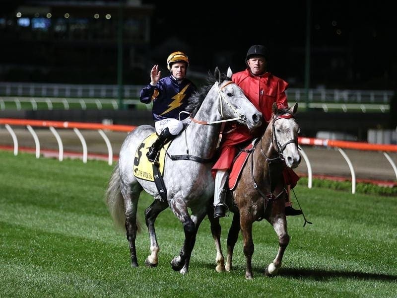 Tommy Berry has paraded Chautauqua for the crowd with the popular horse retired. chautauqua