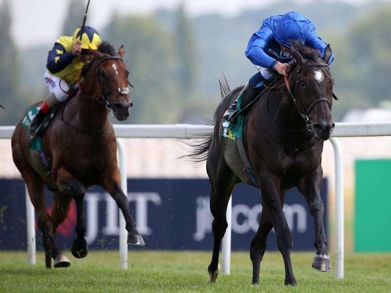 Last-start Newbury winner Emotionless (r) is in doubt for the Caulfield Cup with lameness. emotionless