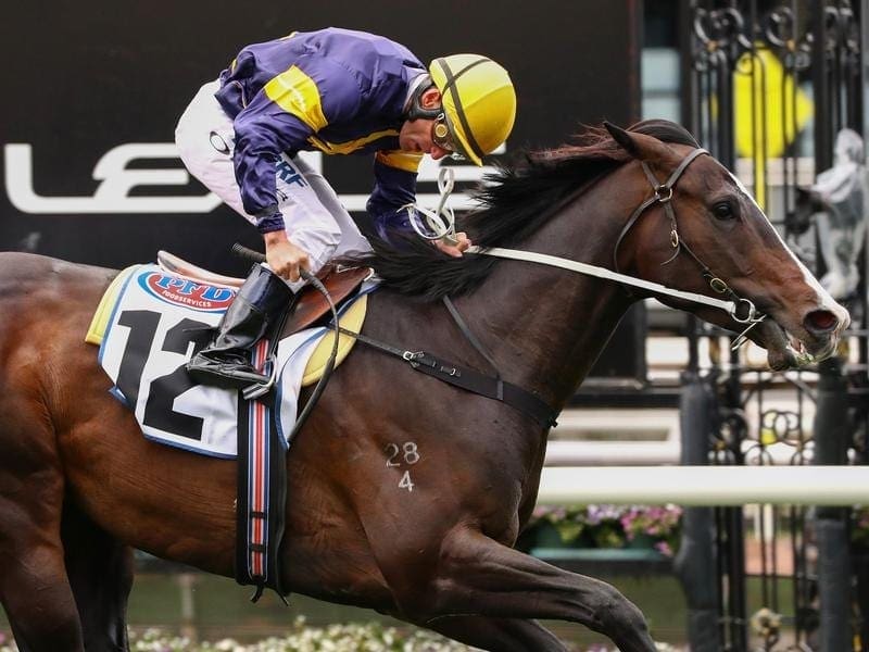 Grunt will be set on a six-day back-up from the Underwood to take on Winx in the Turnbull Stakes. grunt