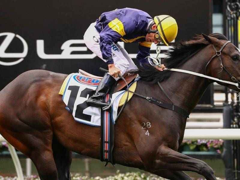 Trainer Mick Price has ruled Grunt out of the Cox Plate after his poor Turnbull Stakes effort. grunt