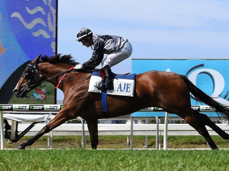 Houtzen will get her next chance at a Group One win in the Manikato Stakes at The Valley. houtzen