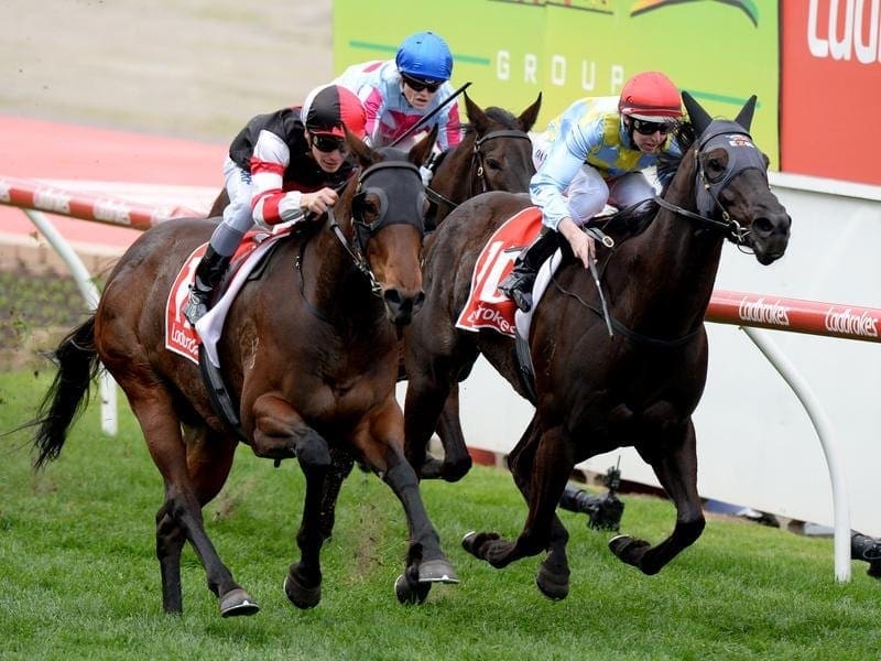 Missrock (l) will be out to cause an upset and claim her first Group One win in the Moir Stakes. missrock