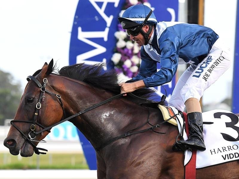 Viddora is primed to go one better than a year ago in the Group One Moir Stakes. viddora