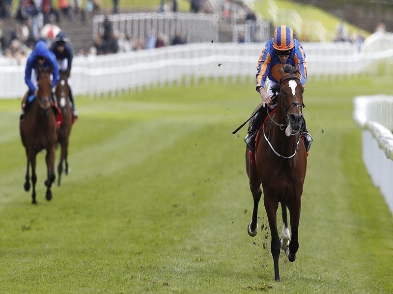 The Aidan O'Brien-trained Rostropovich (right) is a possible runner in the Cox Plate. aidan o'brien
