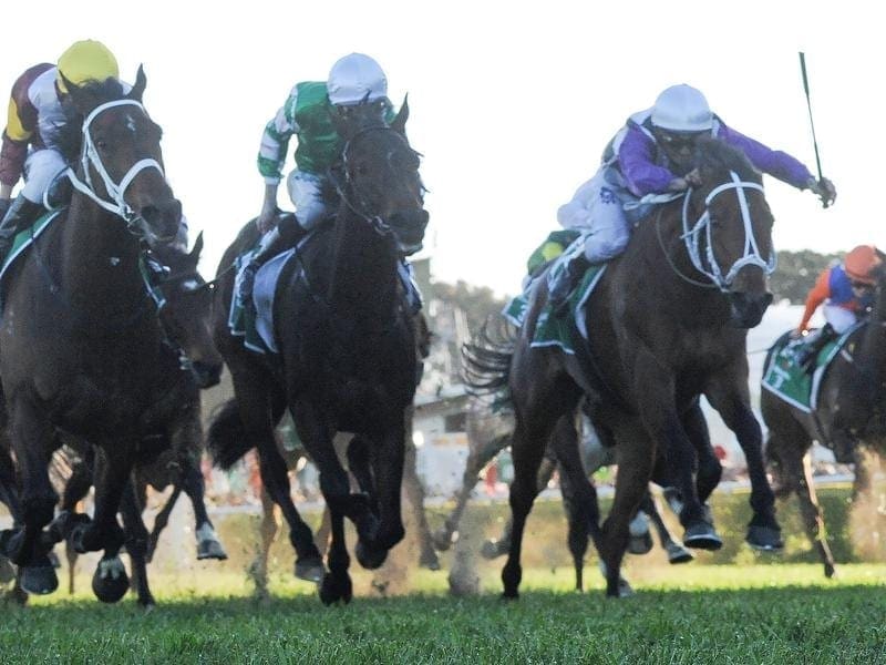 Patrick Erin (right) has come of age with his Group One win in the Metropolitan Handicap. patrick erin