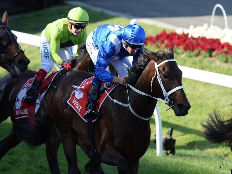 Three-time winner Winx heads the 41 second declarations for the Cox Plate. winx