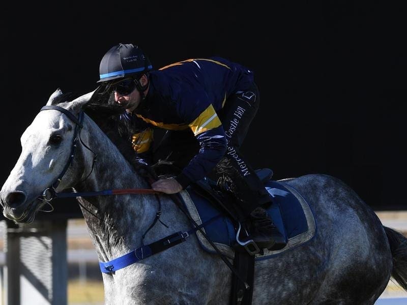 Chautauqua has been entered for the Manikato Stakes and VRC Sprint in Melbourne. chautauqua