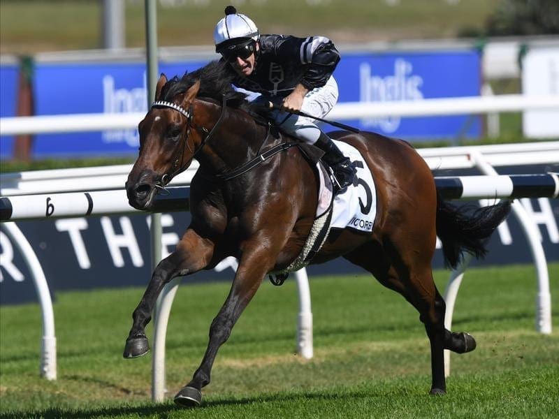 Victorem has had a barrier trial at Gosford ahead of his bid for the $1.3 million Kosciuszko. victorem