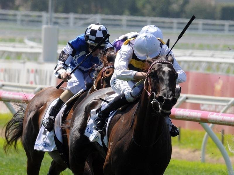 Caulfield Cup second favourite Night's Watch has been penalised 1kg for his MRC Foundation Cup win. night's watch