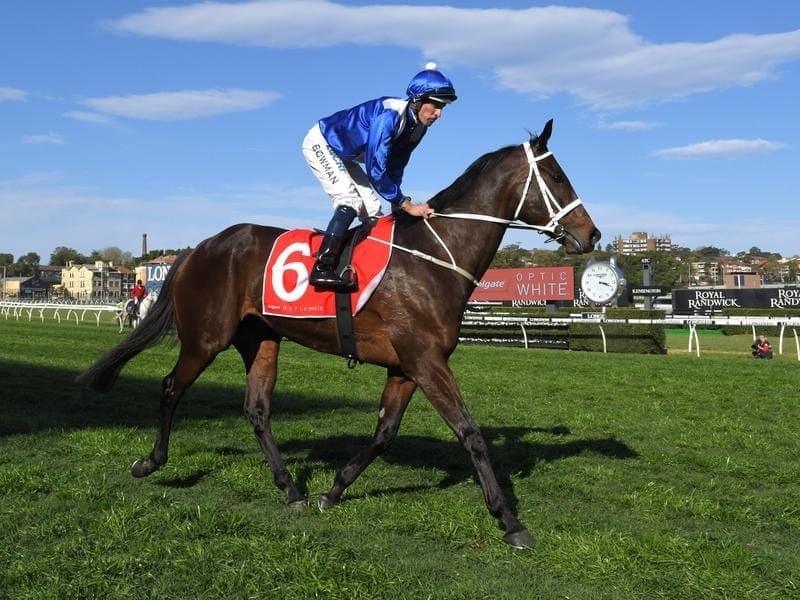 rainer Chris Waller says Winx is in perfect condition ahead of her next run in the Turnbull Stakes. winx