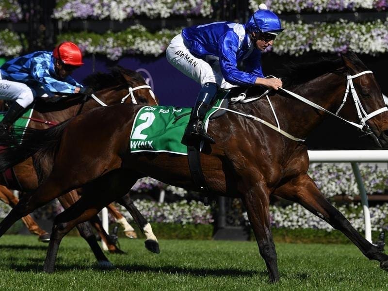 Winx is having an easy week following her Turnbull Stakes victory ahead of the Cox Plate. winx
