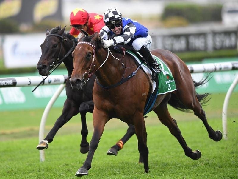 Big Duke will be aiming to go one better than last year when the stayer contests the Metropolitan. Big Duke in winning form.