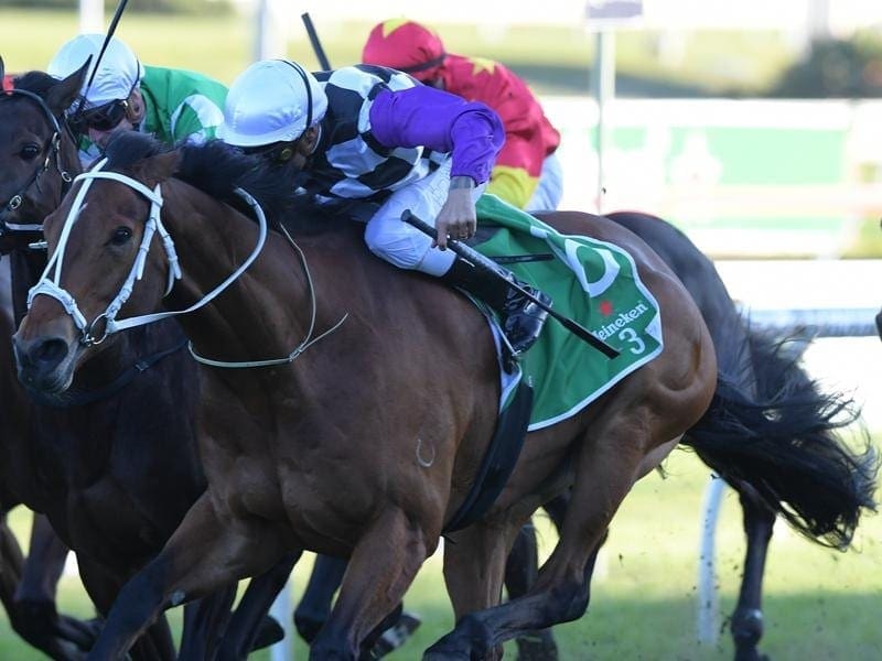 Patrick Erin has beaten stablemare Brimham Rocks to win the Group One Metropolitan at Randwick. Patrick Erin.