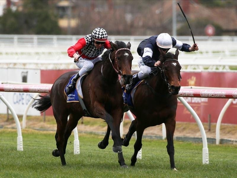 Michael Dee is aiming for back-to-back Metropolitan Handicap wins when he rides Midterm (right). midterm