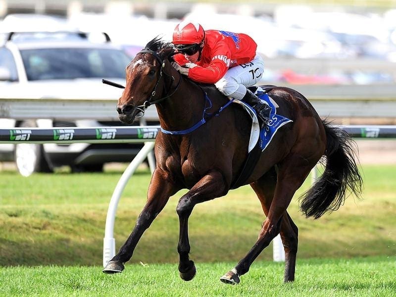 Tim Clark expects Sedanzer to be fighting out the finish of the Group One Metropolitan at Randwick. sedanzer