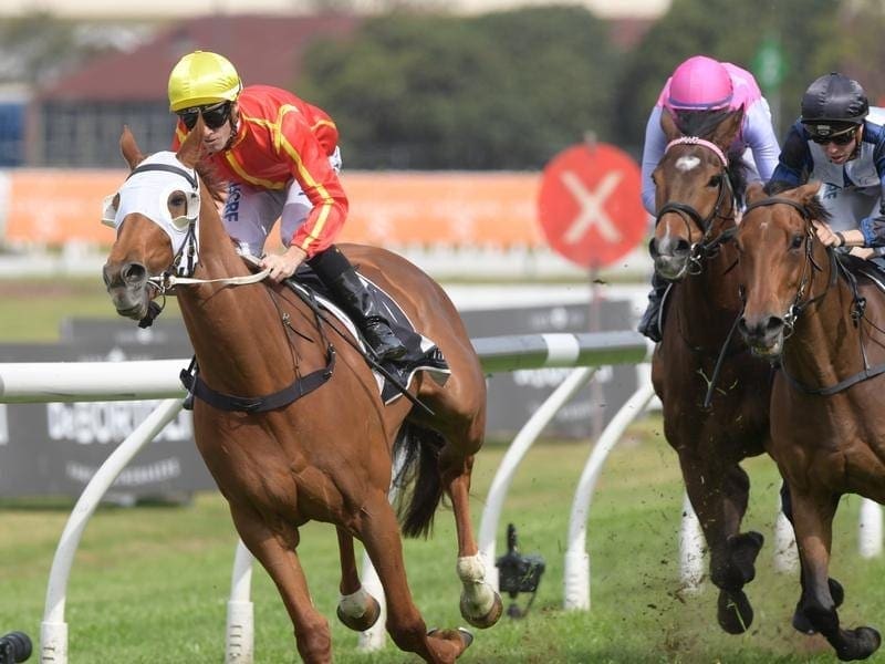 Victorian jockey Dean Holland will ride last-start winner Miss Admiration in the G1 Metropolitan. dean holland