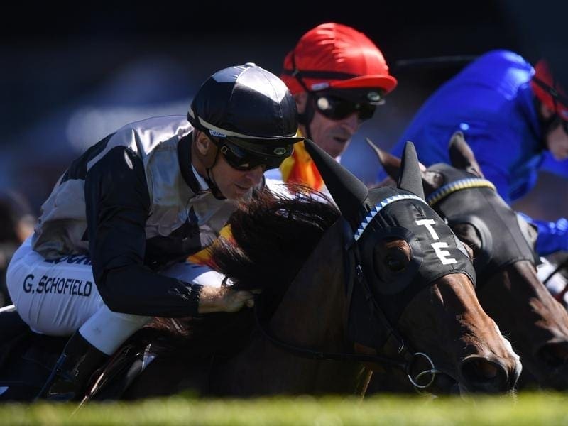 Houtzen has thrived since her return to racing and is ready for a Group One test in the Moir Stakes. Houtzen.