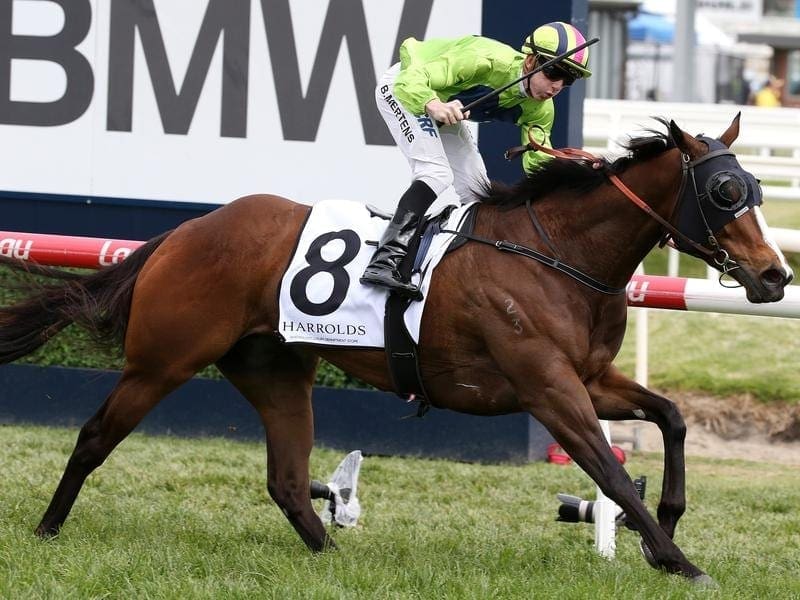 Snitty Kitty will be aiming to upset some big names in the Group One Moir Stakes at the Valley. snitty kitty