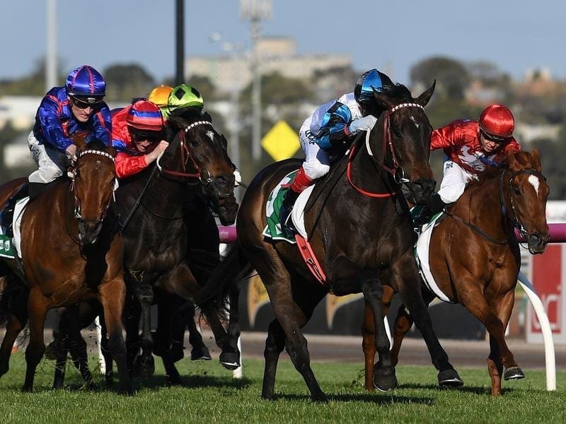 The Victorian government says it's prepared to add $33 million to horse racing's prize pool. TAB Turnbull Stakes Day, Flemington