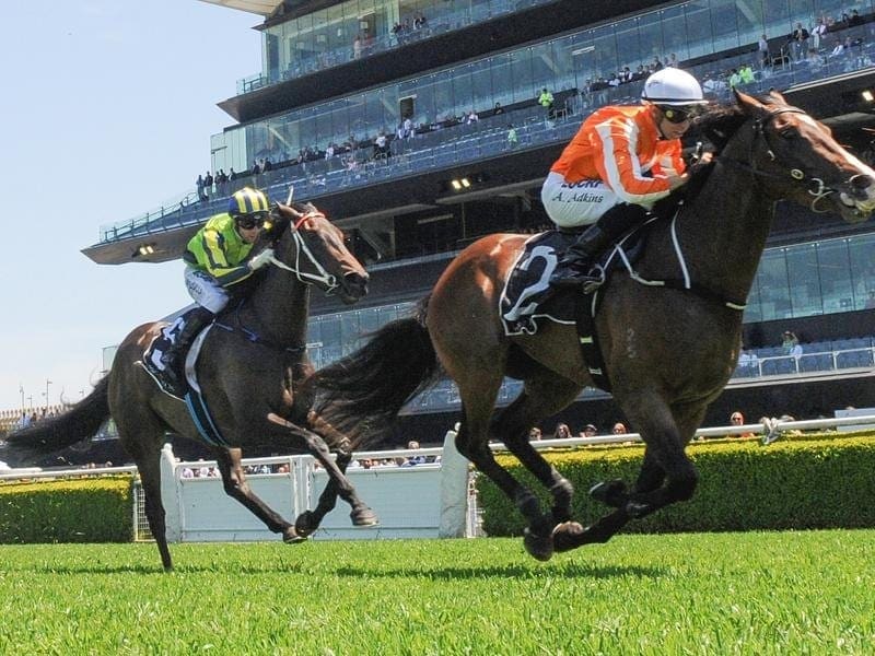 Royal Celebration ended a frustrating run of placings with a clear-cut win at Randwick. Royal Celebration wins at Randwick.