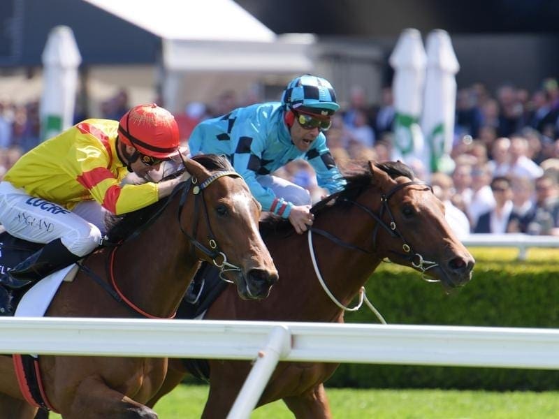 Dubious (right) has become the first Victorian-trained horse to win the Breeders' Plate at Randwick. Dubious (right) wins at Randwick.