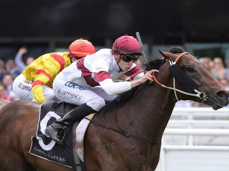Brian Crowley Stakes winner Diplomatico has earned a start in the Group One Coolmore Stud Stakes. Diplomatico wins at Randwick.