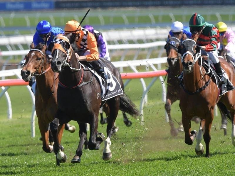 Ace High has made a timely return to top form in preparation for the Caulfield and Melbourne Cups. Ace High (middle) wins the Hill Stakes.
