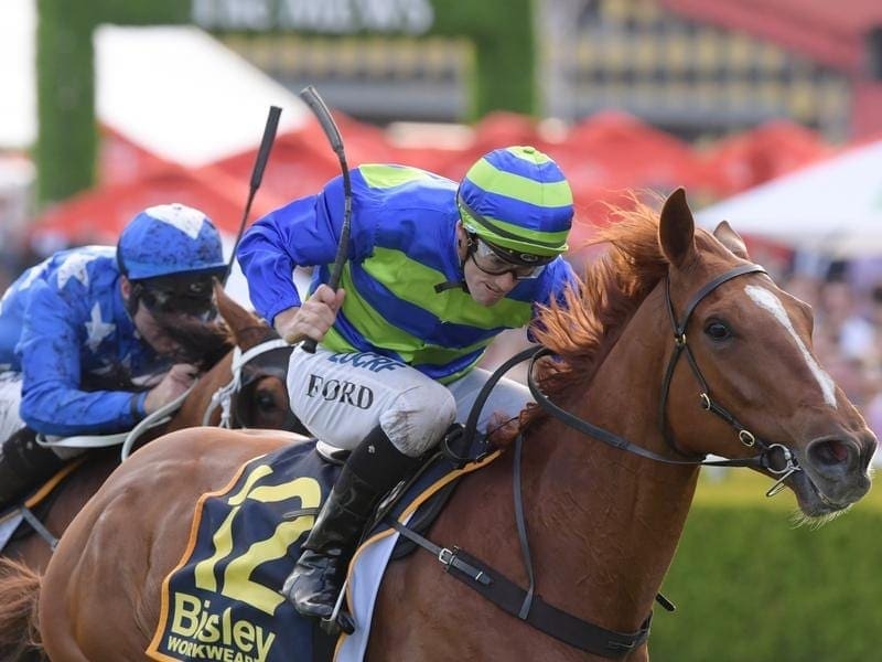 French import Big Blue has caused an Everest day upset with his win in the St Leger Stakes. Big Blue wins at Randwick.