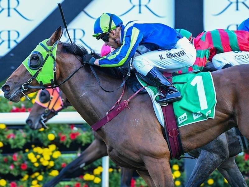 Trainer John Sargent is counting on a wet track to bring out the best in Luvaluva at Randwick. Luvaluva.
