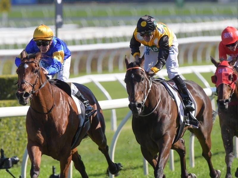 Santa Ana Lane (left) has upstaged a field of Everest contenders with a narrow win at Randwick. Santa Ana Lane (left) wins the Premiere Stakes.