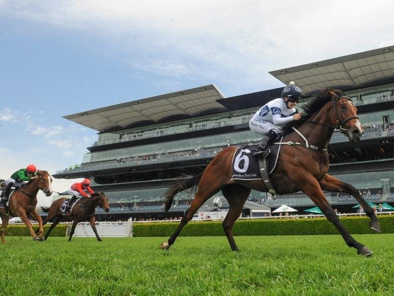 Time To Reign has lived up to his breeding as a half-brother to a Golden Slipper winner. Time To Reign.