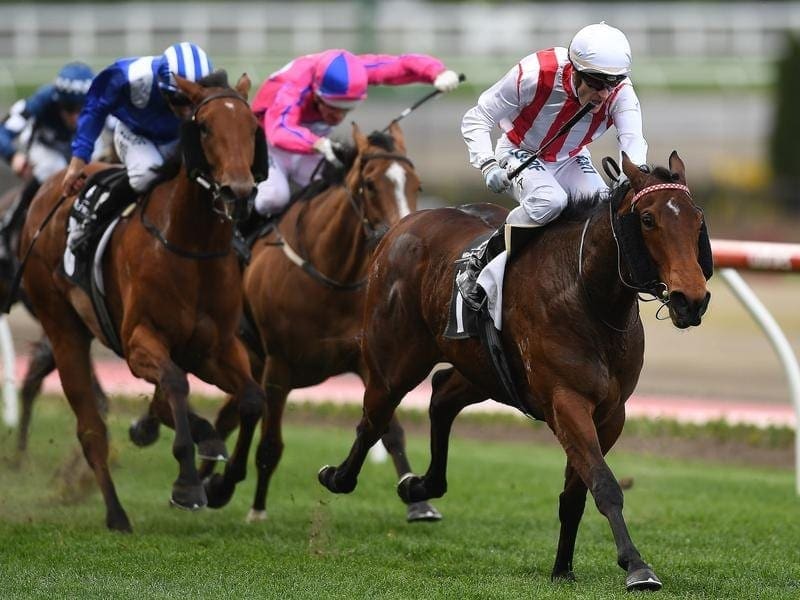The Anthony Freedman-trained Shoals will have her lead-up to The Everest in the Premiere Stakes. shoals