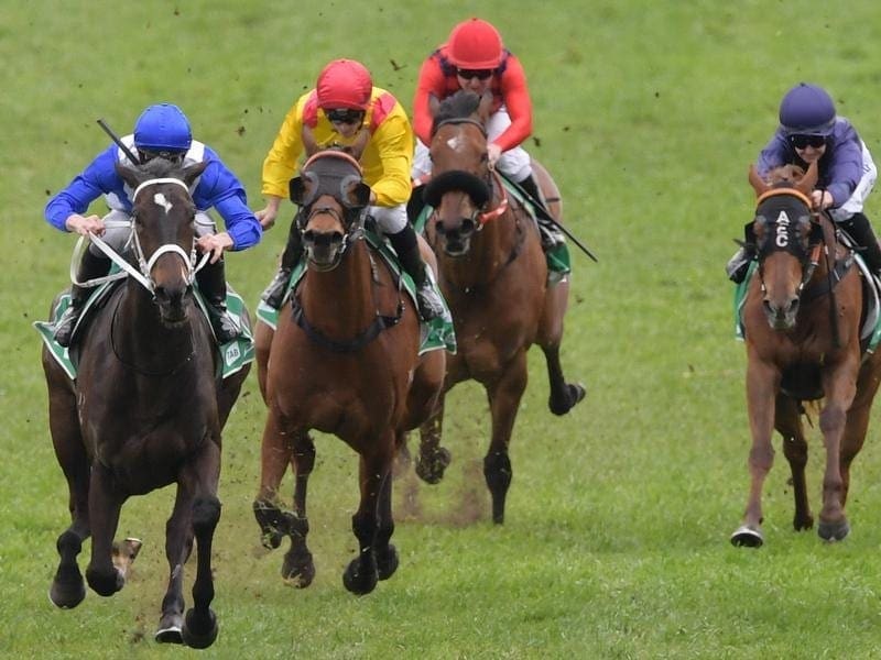 Royally bred Girl Tuesday (left) kept an l;unbeaten record with her easy win at Rosehill. Girls Tuesday wins at Rosehill.