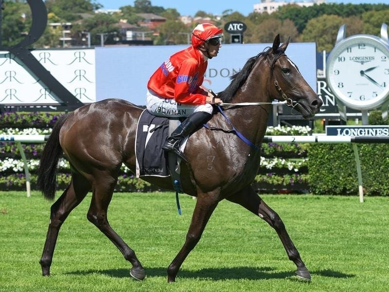 Seabrook will have a new jockey as well as blinkers when she runs in the Group One Thousand Guineas. Seabrook.