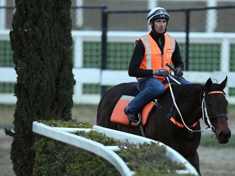 Smart Melody is the favourite for the Thousand Guineas although she has yet to race at 1600m. smart melody