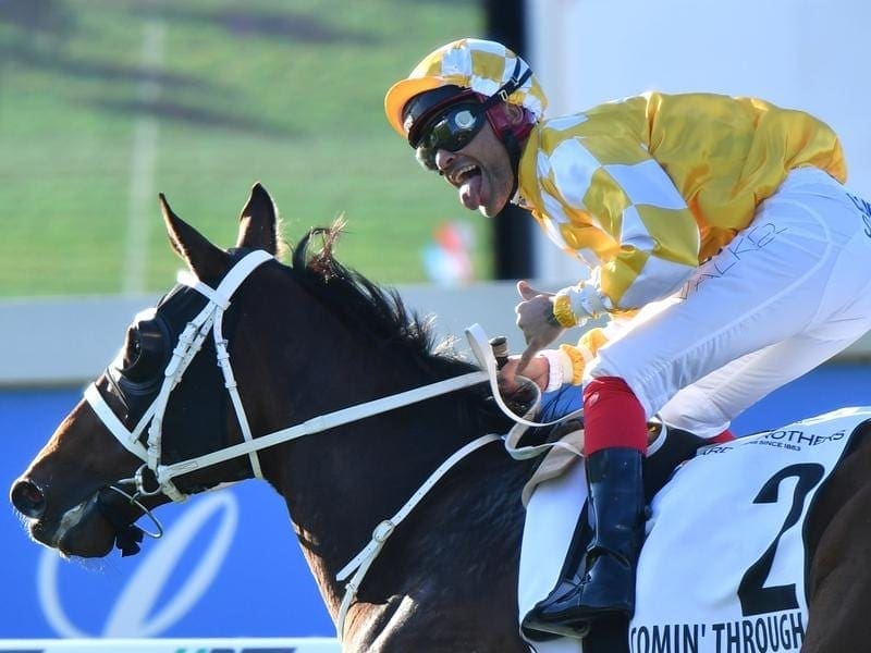 Comin' Through has had some variety added to his training ahead of the Group One Underwood Stakes. Comin' Through