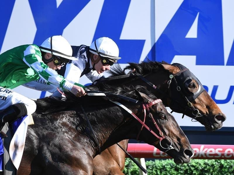 Homesman (right) has edged out Tosen Basil to win the G1 Underwood Stakes at Caulfield. underwood stakes